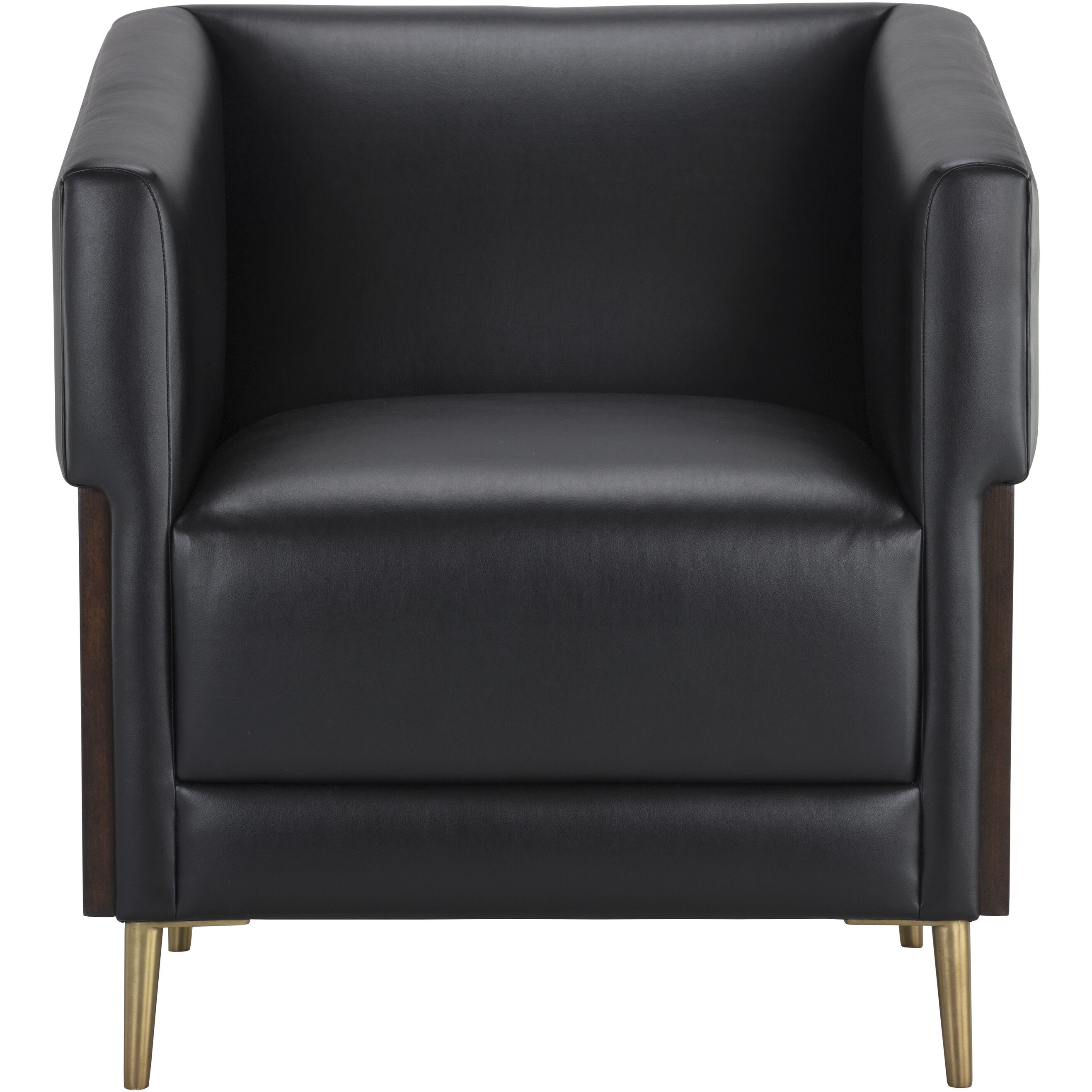 Shylo Castillo Black Lounge Chair